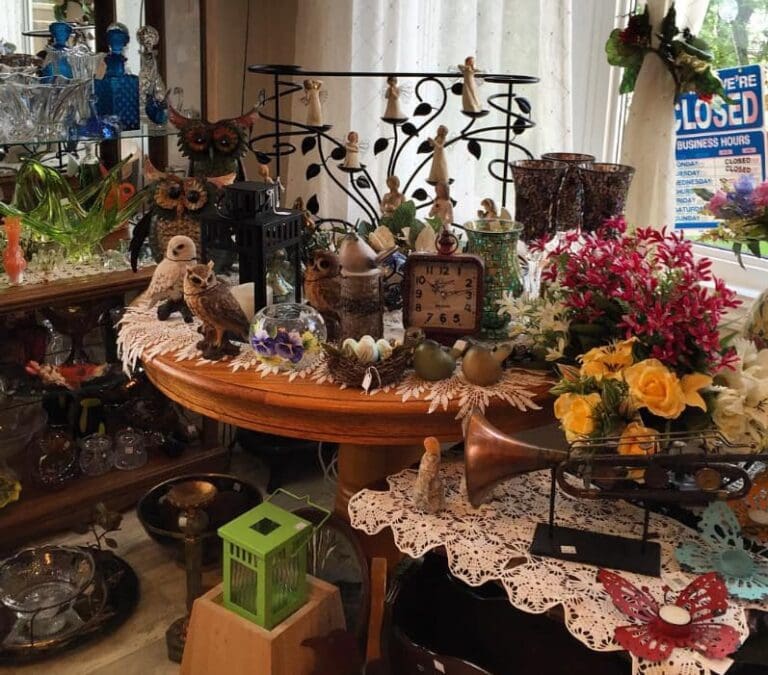 Lady Bug Pick Nic 2 768x675