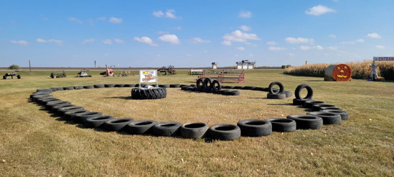 Veg Corn Maze 4 768x346