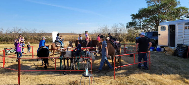 Veg Corn Maze 6 768x346