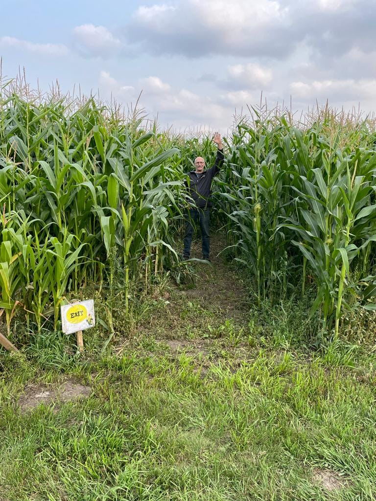 Veg Corn Maze 7