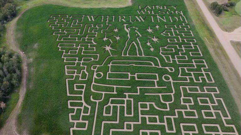 Lainey Wilson Maizex Corn Maze 768x432