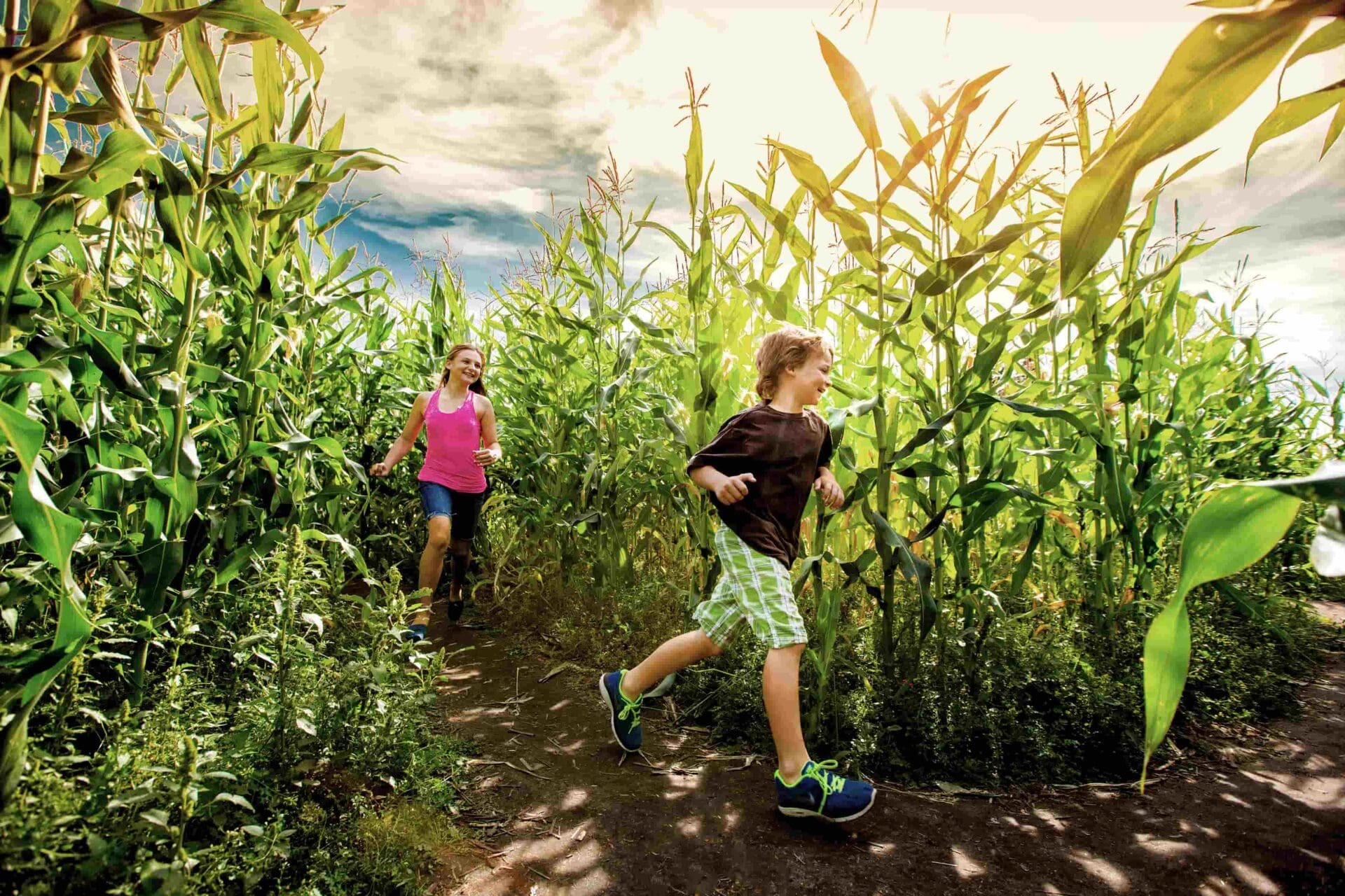 Featured image for “Get Lost in Fun: Explore the A-MAZE-ing Corn Mazes!”