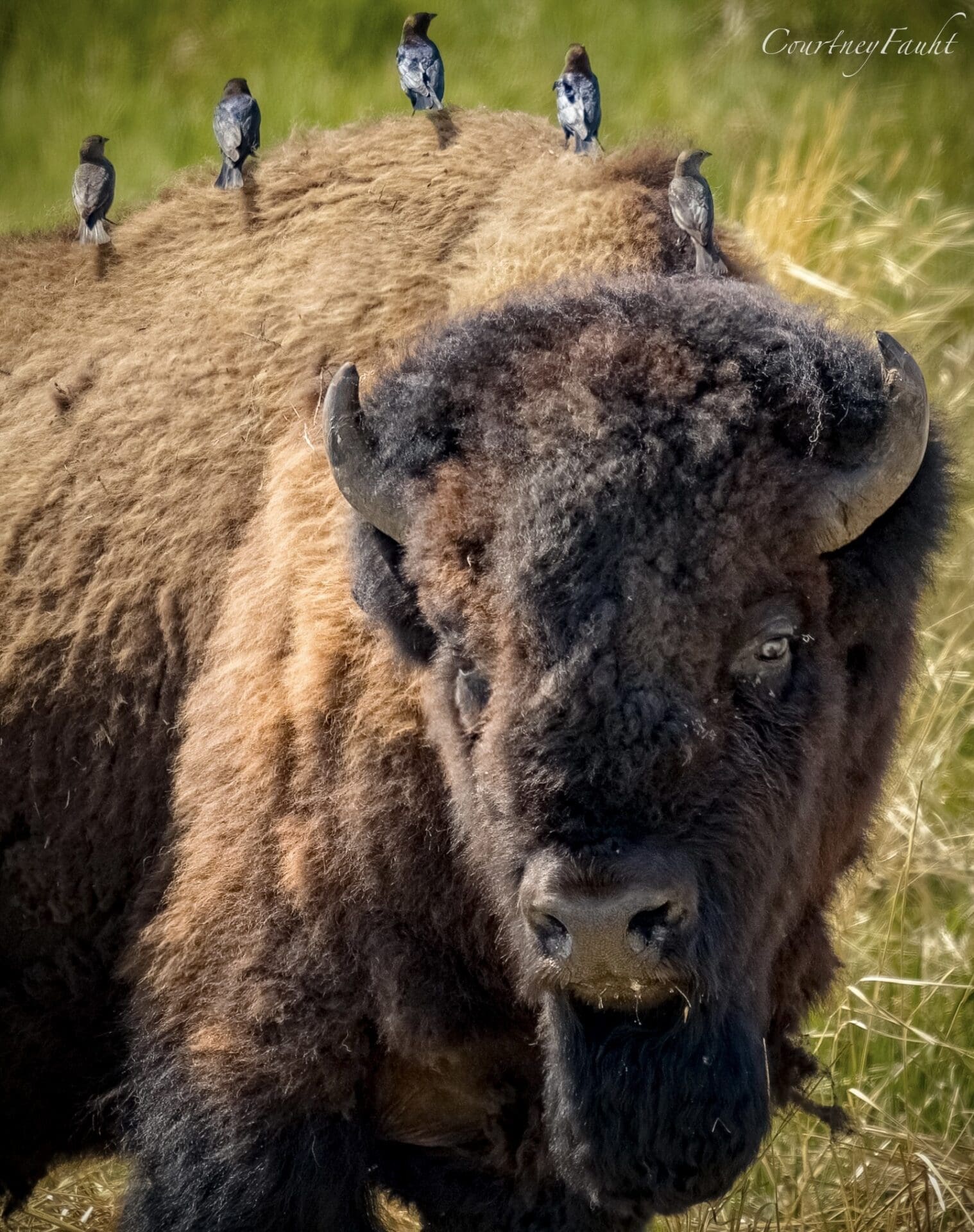 Featured image for โGo East of Edmonton 2025 Photo Contest Winnersโ