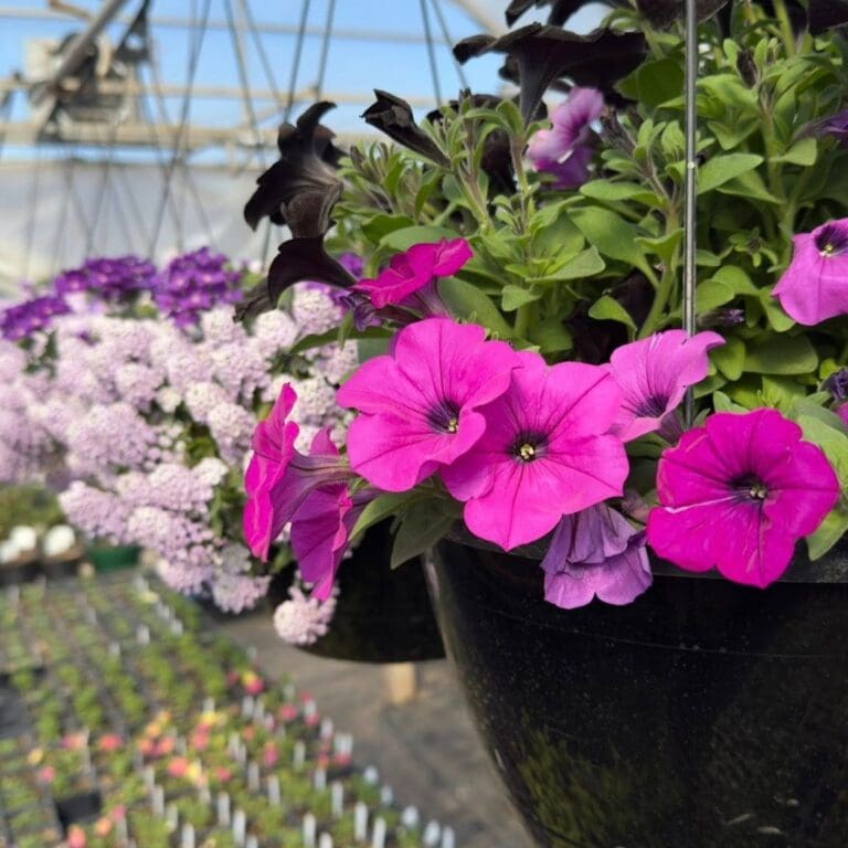 Botanical Blooms 3 768x768