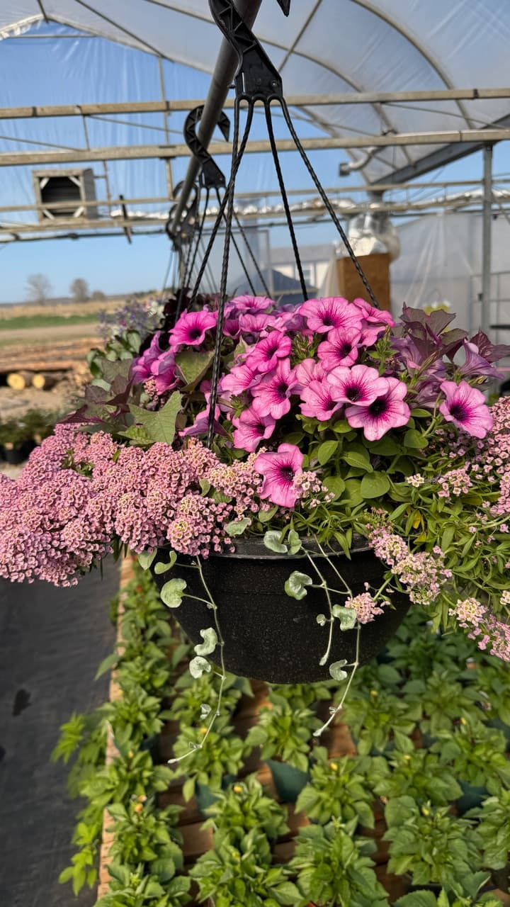 Botanical Blooms 5 1 1