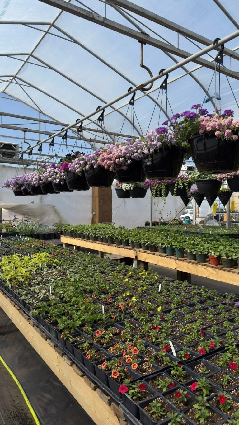 Botanical Blooms 6 1 768x1365