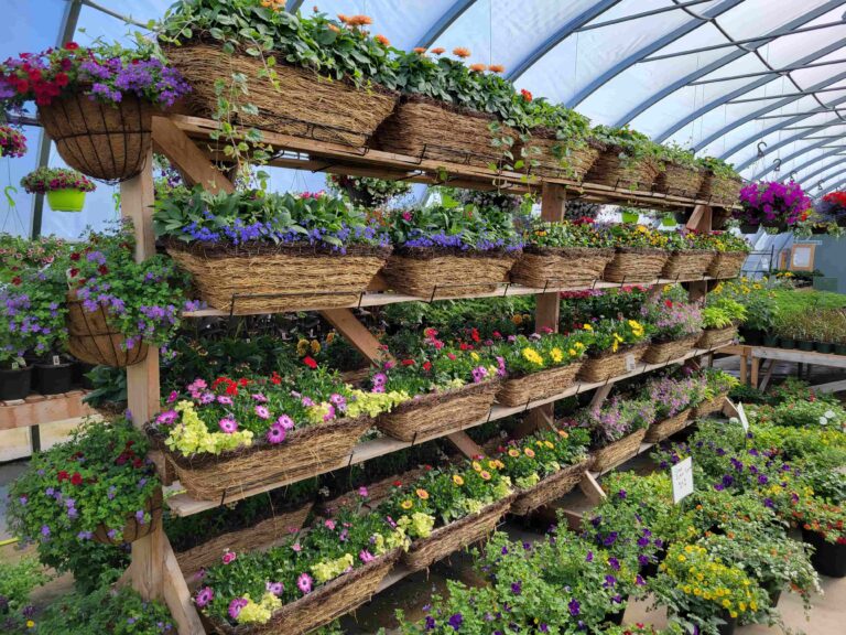 Touch of Green Greenhouse 5 768x576