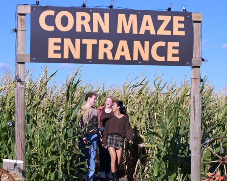 Keato Corn Maze 1 768x614