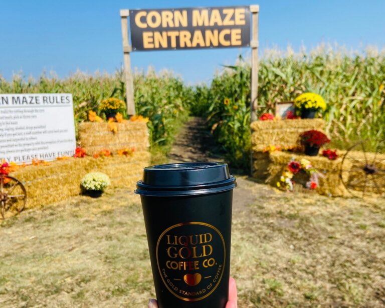Keato Corn Maze 2 768x615
