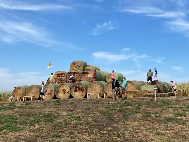 Keato Corn Maze 3 768x576