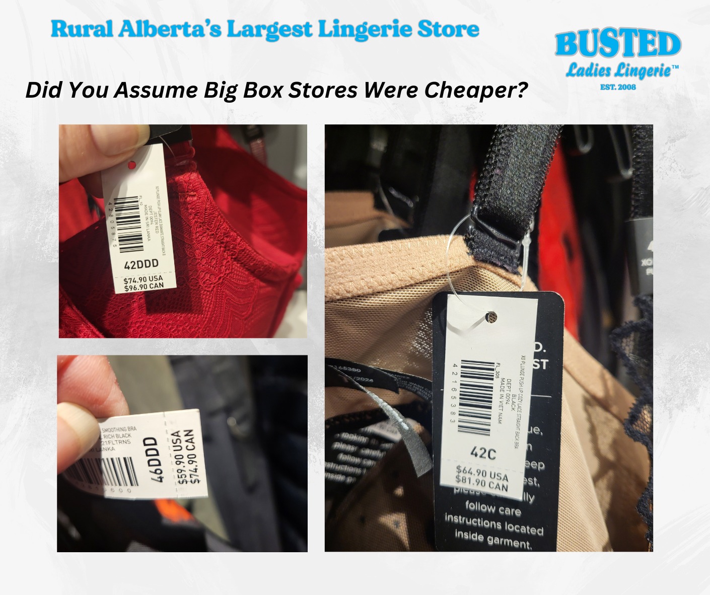 Busted Ladies Lingerie 2