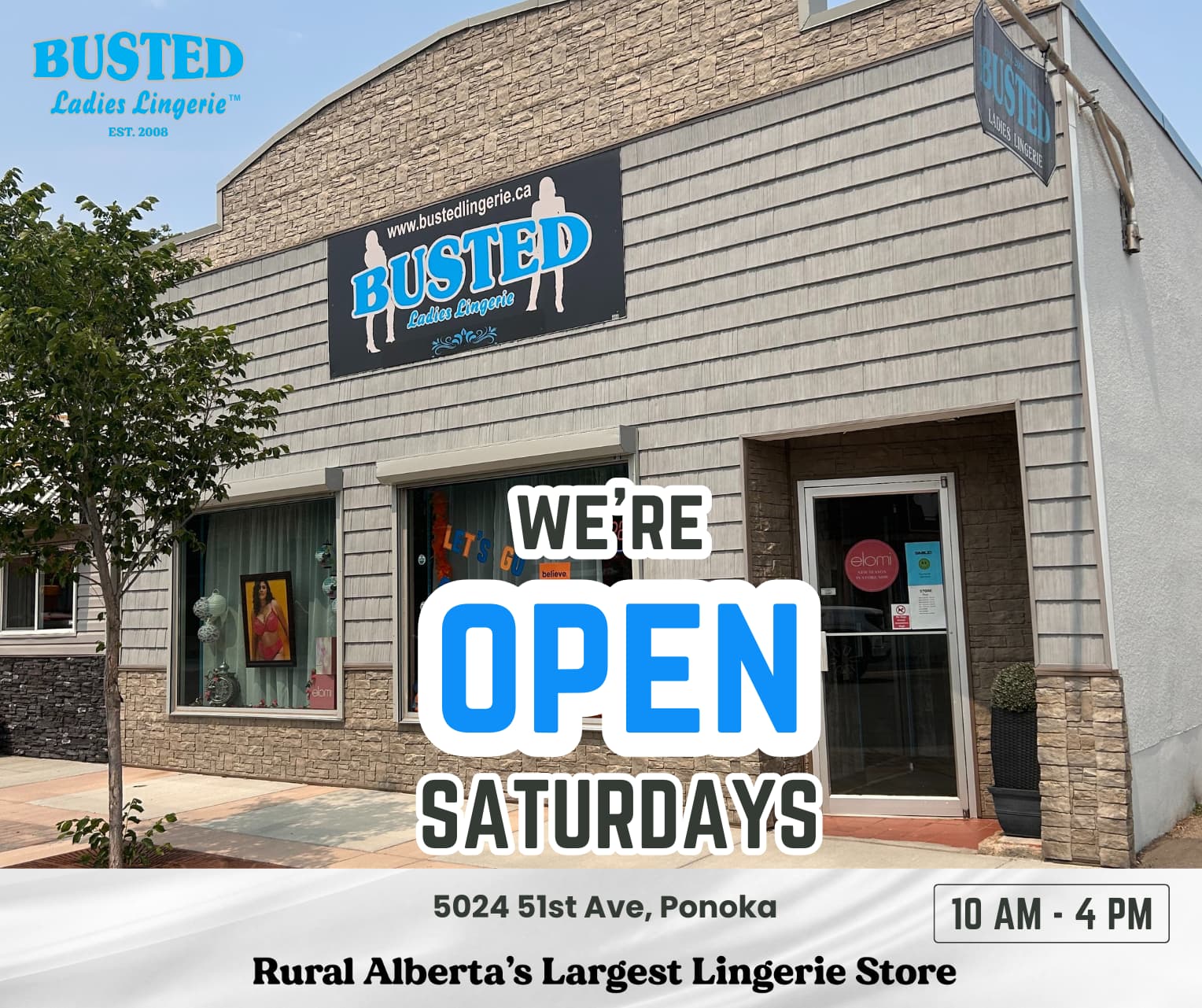 Busted Ladies Lingerie 3 2