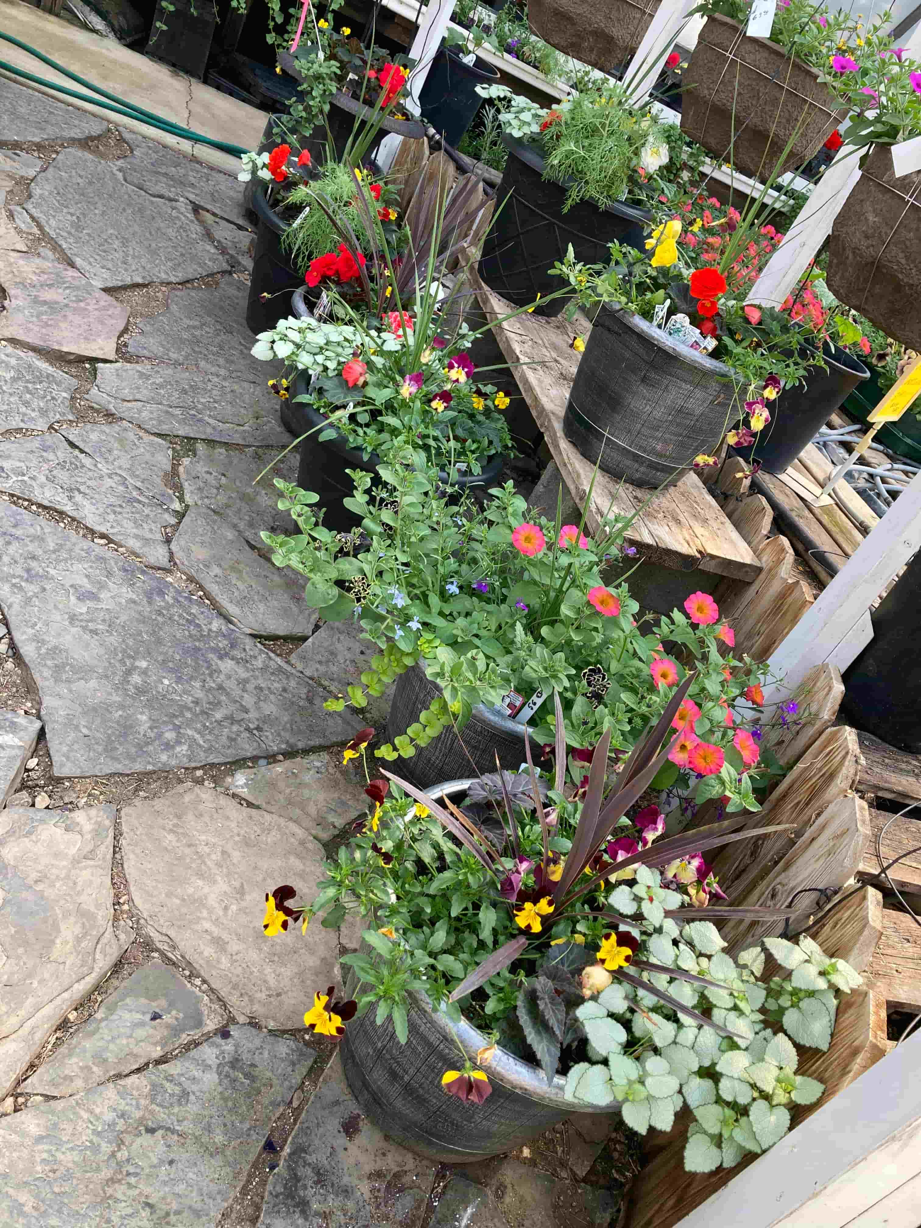 Les Greenhouse 2