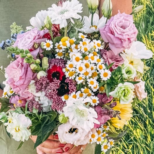 PoppyWynn Flower Farm 1