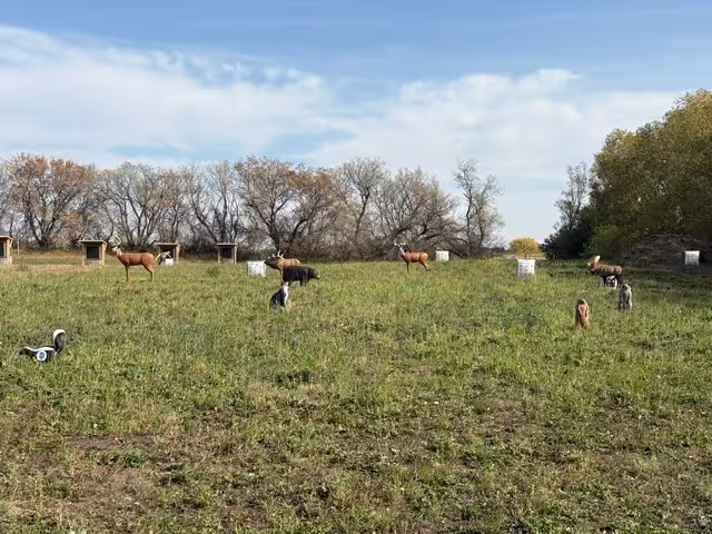 Prodigy Archery 2